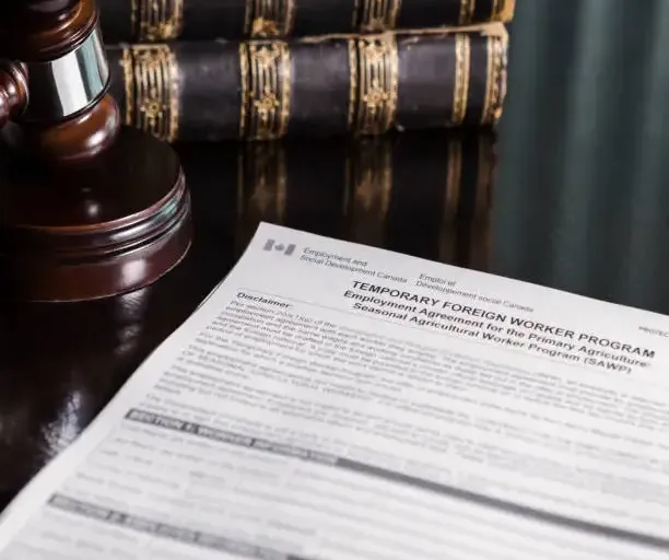 Understanding the LMIA Process: A Step-by-Step Guide for Employers in Canada